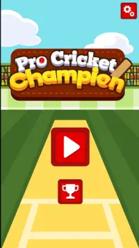 Pro Cricket Champion Screen Shot 1