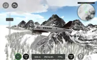 Flight Sim Screen Shot 20
