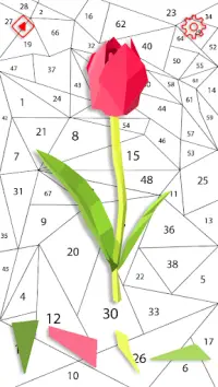 Flower Polygon Puzzle By Number Screen Shot 2