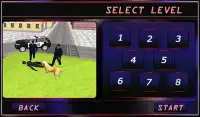 Dog-crime chase City Police Screen Shot 18