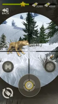 Wilderness Hunting：Shooting Prey Game Screen Shot 1