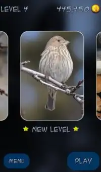 Hidden Mahjong: Winter Birding Screen Shot 1