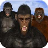 Apes Planet Death War