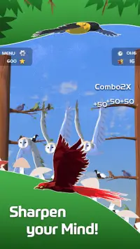 Sort Birds - Puzzle Color 3D Screen Shot 3
