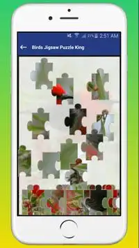 Birds Jigsaw Puzzle King Screen Shot 4