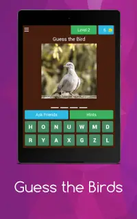 Birds guess Screen Shot 14