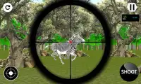 Sniper Zebra Hunting Screen Shot 3