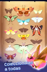 Flutter: Starlight Screen Shot 16