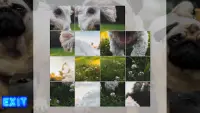 Puppy Dog Puzzle Slide - Sliding Tiles Game Screen Shot 3