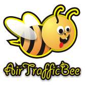 Air Traffic Flower Bee