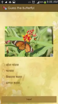 Guess the Butterfly-Photo Quiz Screen Shot 2