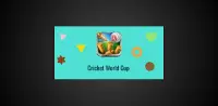 Cricket World Cup Screen Shot 4