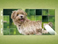 Dog Puzzles - Drag & Swap Screen Shot 15