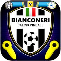 Bianconeri Soccer Pinball