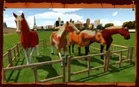 Horse Show Jumping Challenge Screen Shot 7