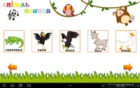 Hayvan Sesleri - Çocuklar için hayvan sesleri Screen Shot 22