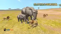 Elephant Survival Simulator Screen Shot 0