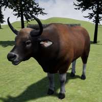 Happy Cattle Simulator