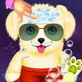 Cute Puppy Bathing: Pet Dog Animal Care