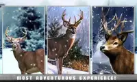 Deer Hunter Snow Season 2016 Screen Shot 2