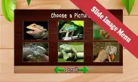 Top Free Animal Games: Lizards Screen Shot 5