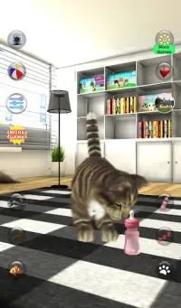 Konuşan Kedi Komik Screen Shot 3