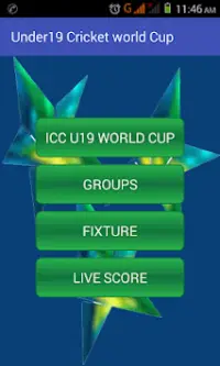 Under 19 Cricket World Cup Screen Shot 0