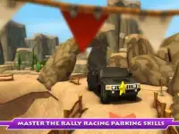 Super Toon Parking Rally 2015 Screen Shot 8