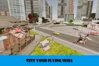 Drone Pizza Delivery Simulator 3d 2018 Screen Shot 5