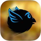 Go Birdies - An Adventure Game