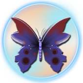 Butterfly Bubble Shooter