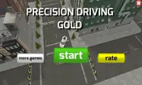 Precision Driving Gold Screen Shot 0