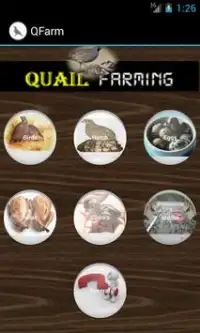 Qfarm Screen Shot 0