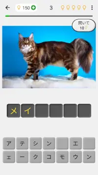 猫の品種 : クイズゲーム Screen Shot 0