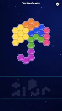 Block Hexa: Basic Puzzle Screen Shot 6