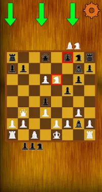 Chess Offline Two Player Screen Shot 1