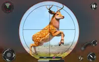 Deadly Animal Hunting Game: Sniper 3D Shooting Screen Shot 0