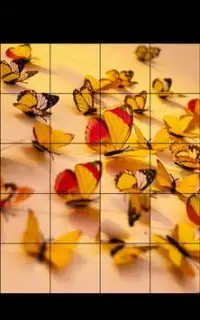 Beautiful Butterfly Jigsaw Puzzle Game Screen Shot 1