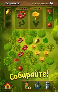 Грибники: дары леса - ферма Screen Shot 10