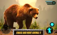 Wild Bear Real 3D Simulator Screen Shot 11