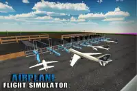 Fly Plane: Flight Simulator 3D Screen Shot 0