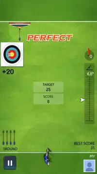 Archery Ace Screen Shot 8