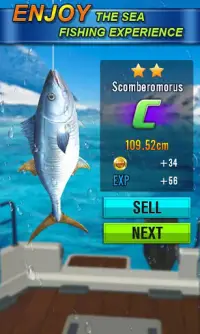 Thrilling Fish Hook World Champion 2019 Screen Shot 2