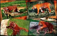Wild Tiger Hunter 2016 Screen Shot 2