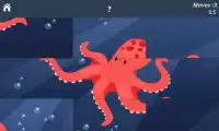 Sea Animals Puzzles! Screen Shot 4