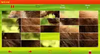 Bear Puzzle Screen Shot 7