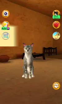 Talking Egyptian Cat Screen Shot 2
