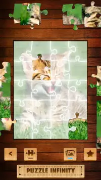 Animal Puzzle Infinity Screen Shot 1