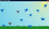 Shoot The Bird Screen Shot 4