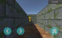 Craft Maze Runner 3D Screen Shot 1